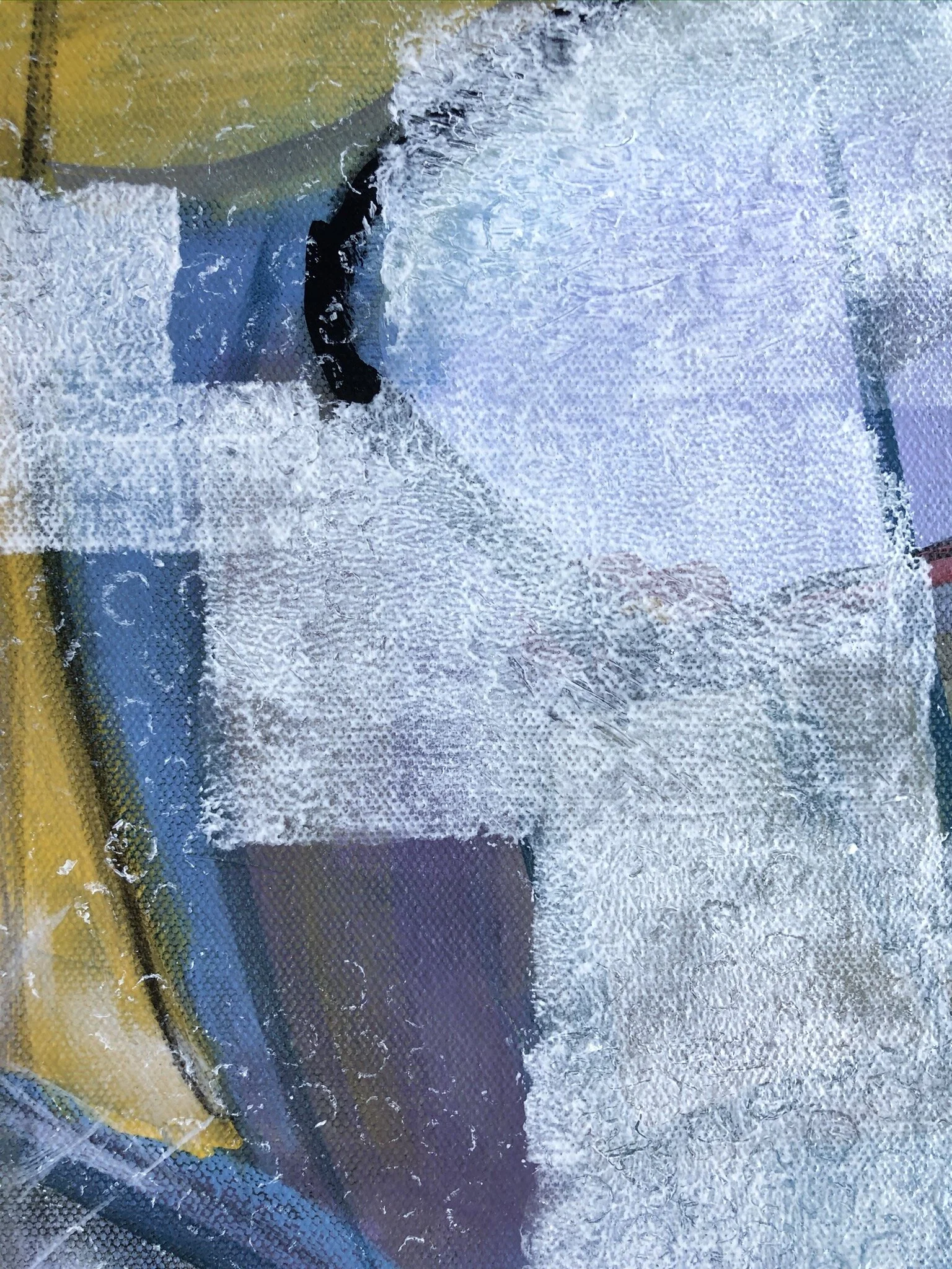 Daffodil Lament (11).JPEG