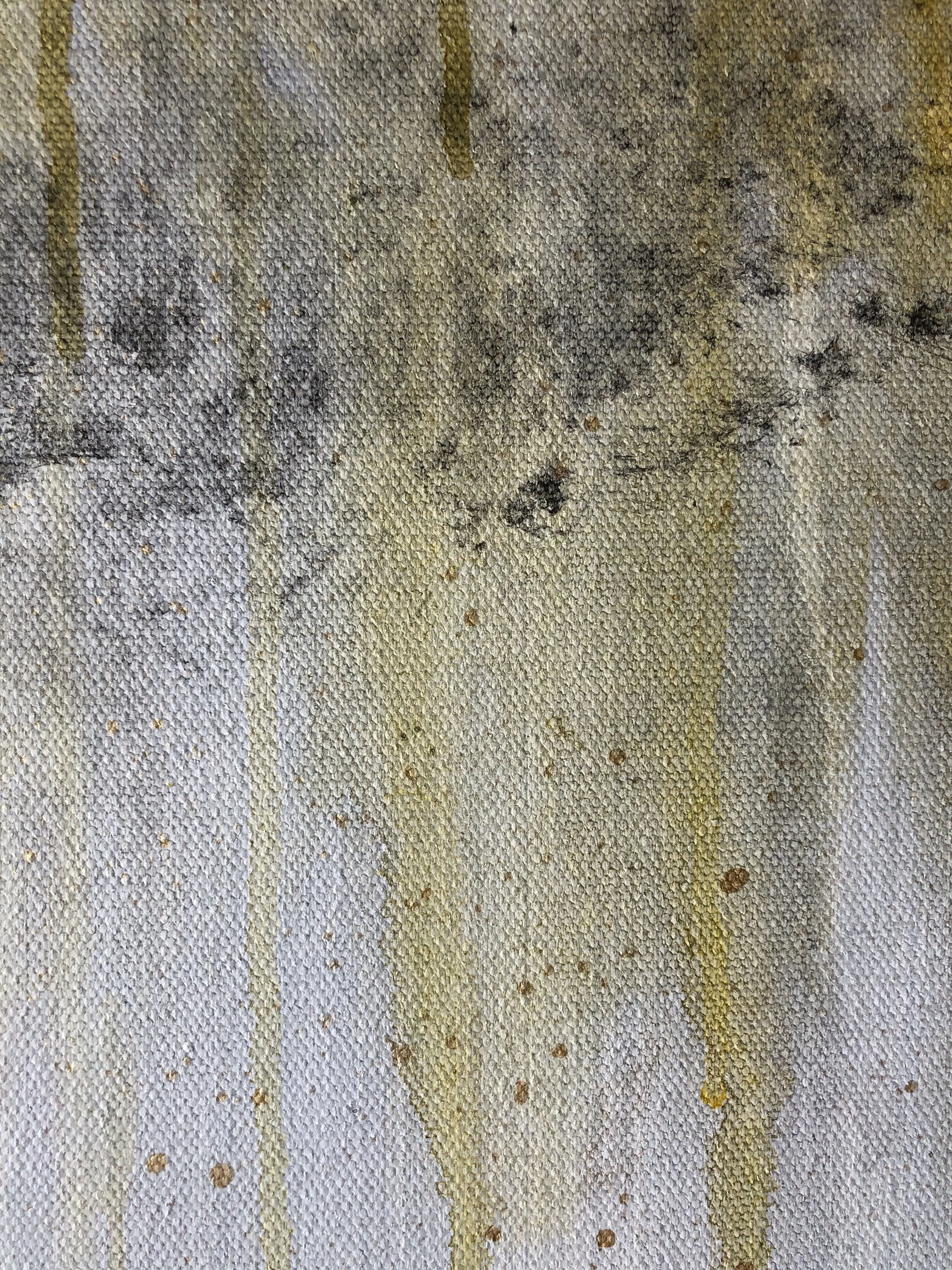 Words of Wisdom (3).JPEG