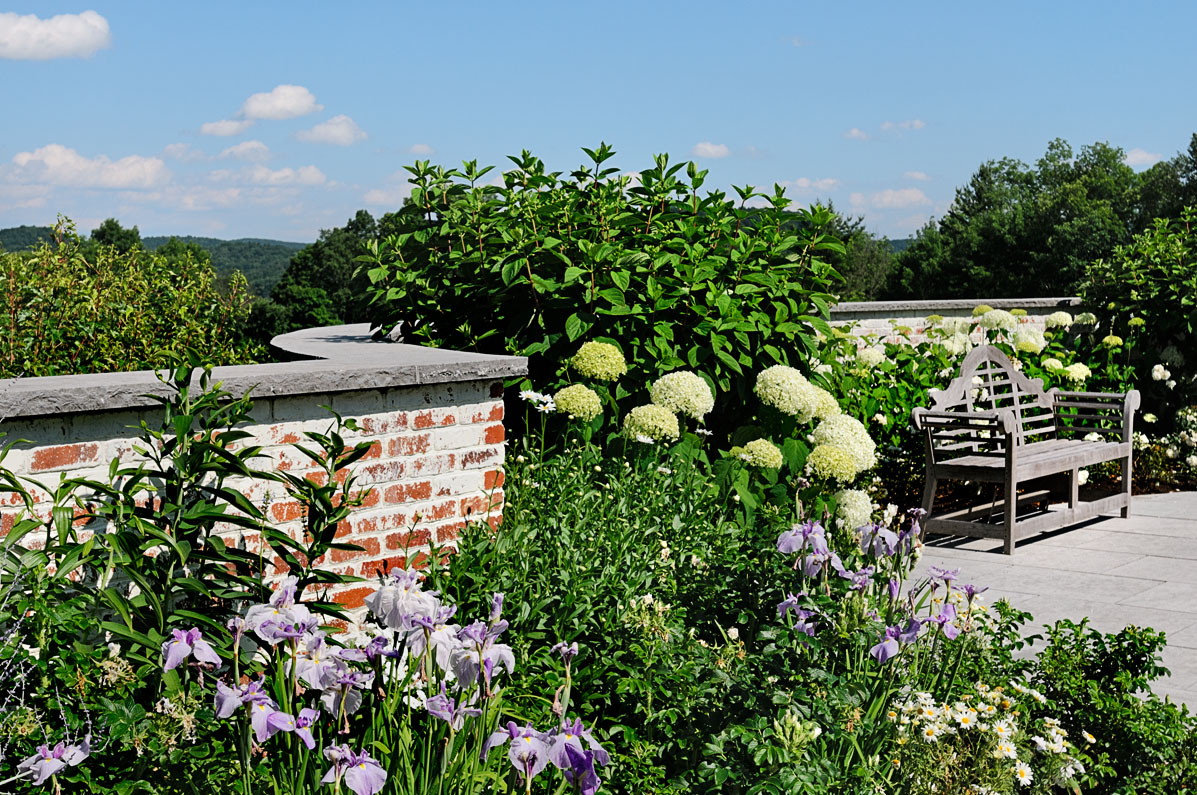 flowers wall.jpg