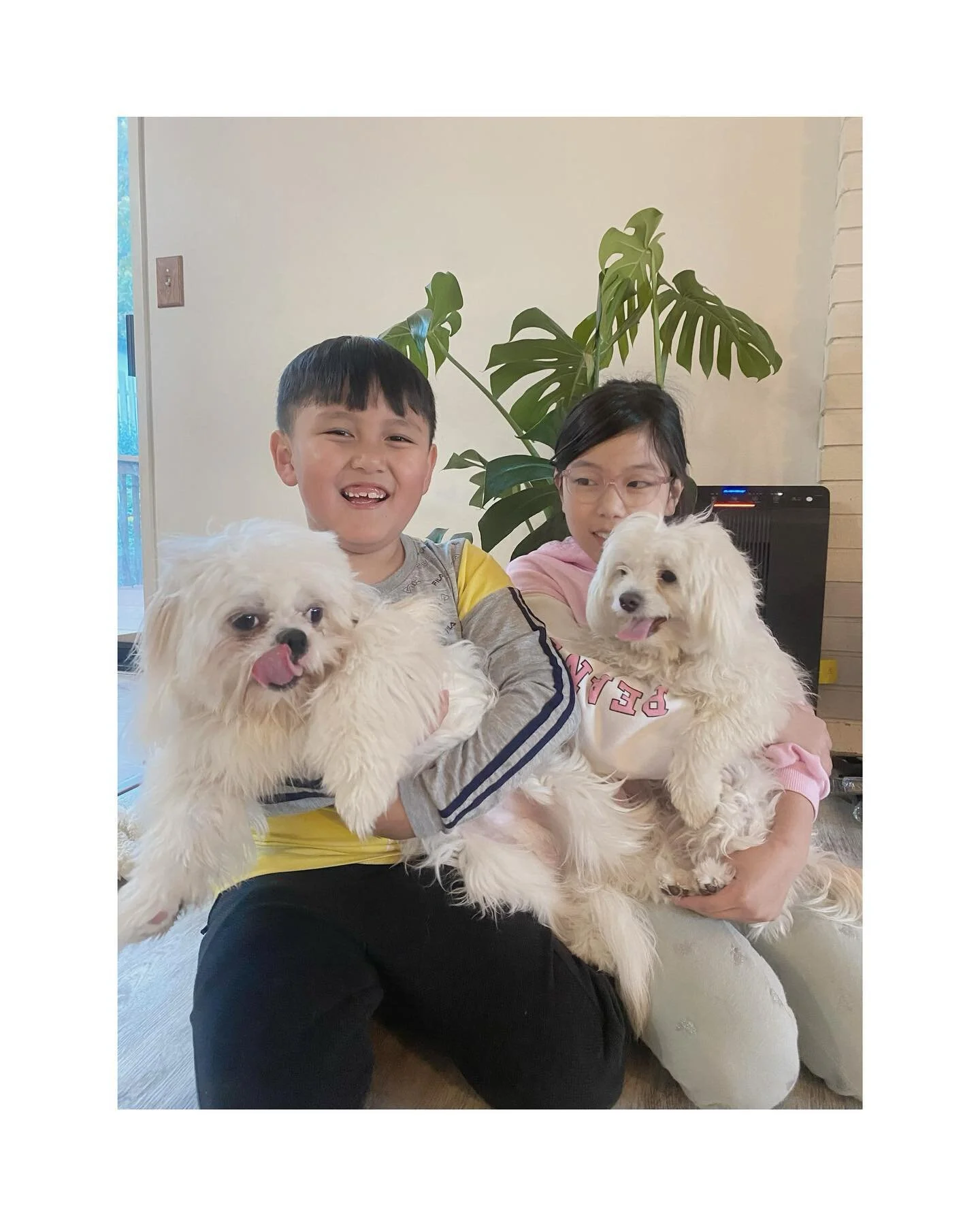 Dear Lord,

I don&rsquo;t think I can be able to handle more kids in this house 🙄😂#newpuppy #newmember