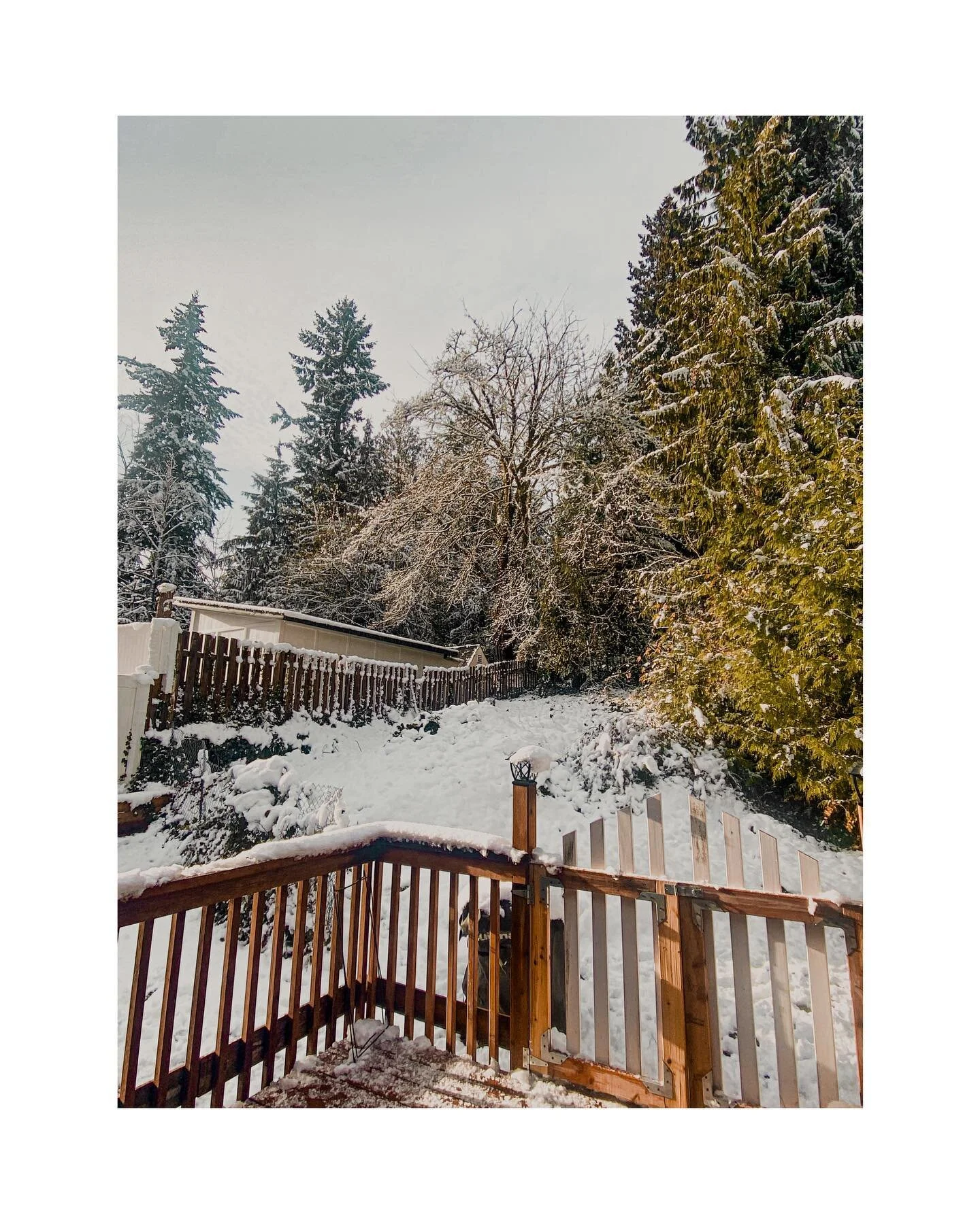 Best place to be in this weather &hellip;
HOME