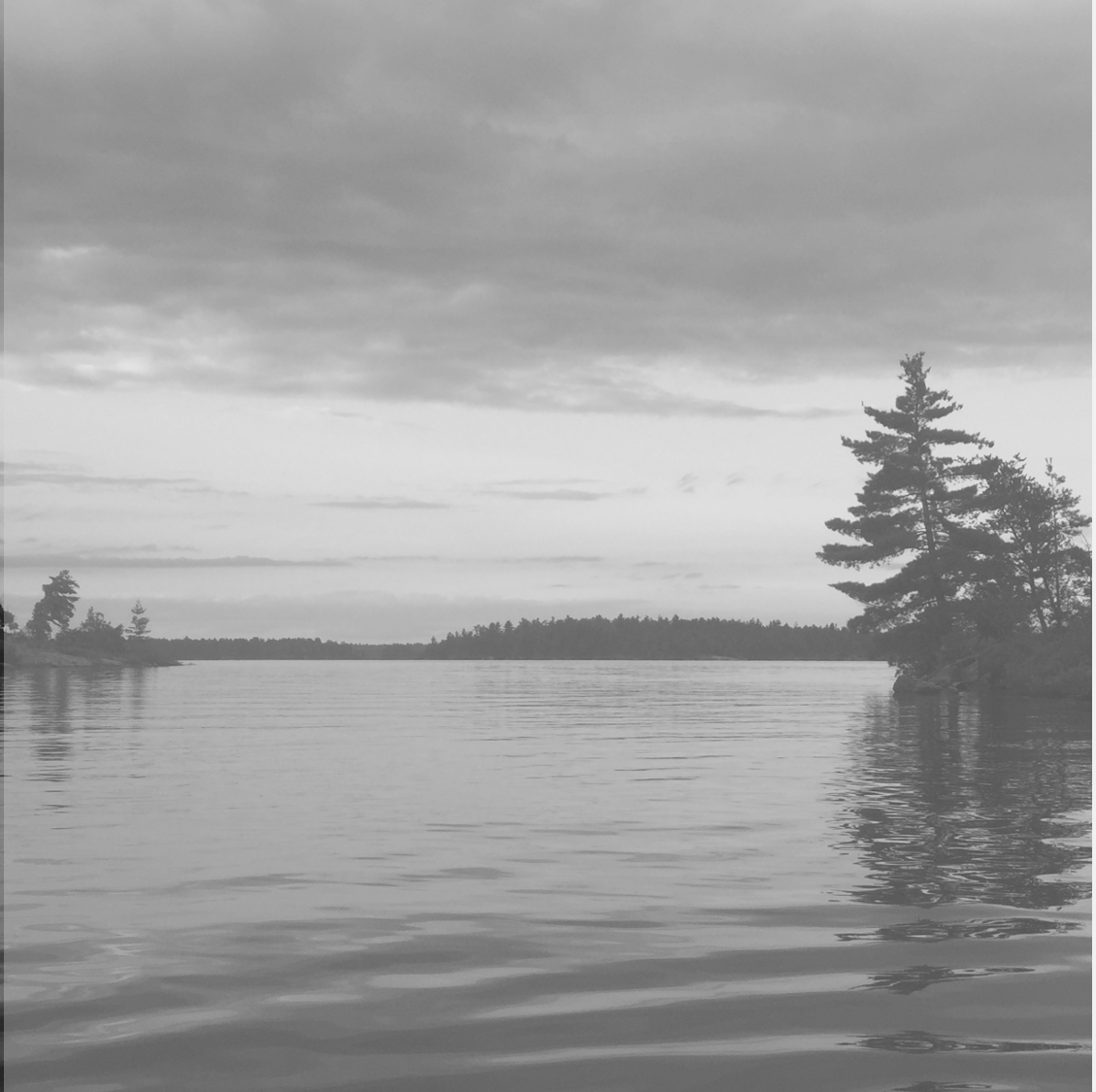 background.png