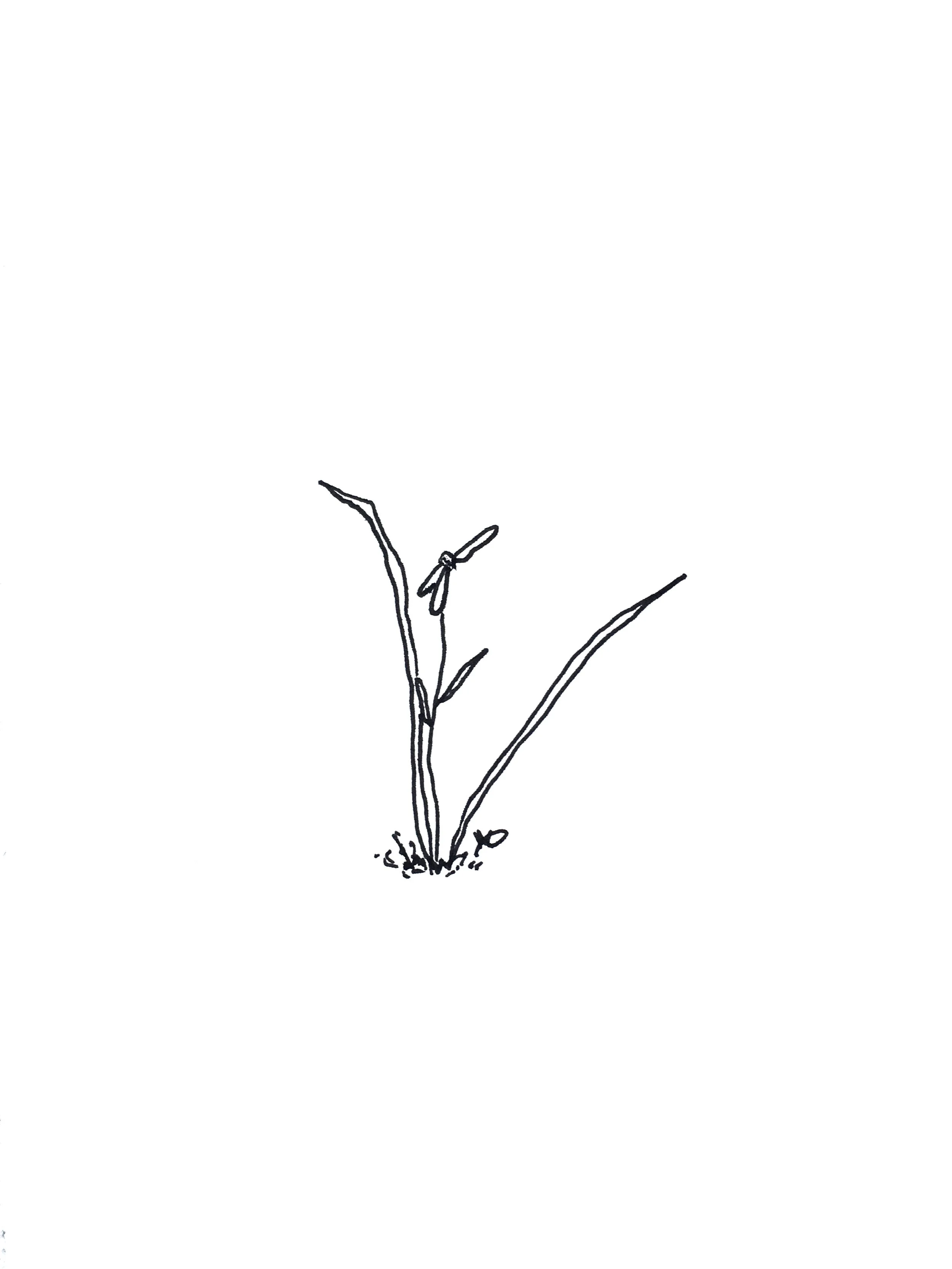 Growing