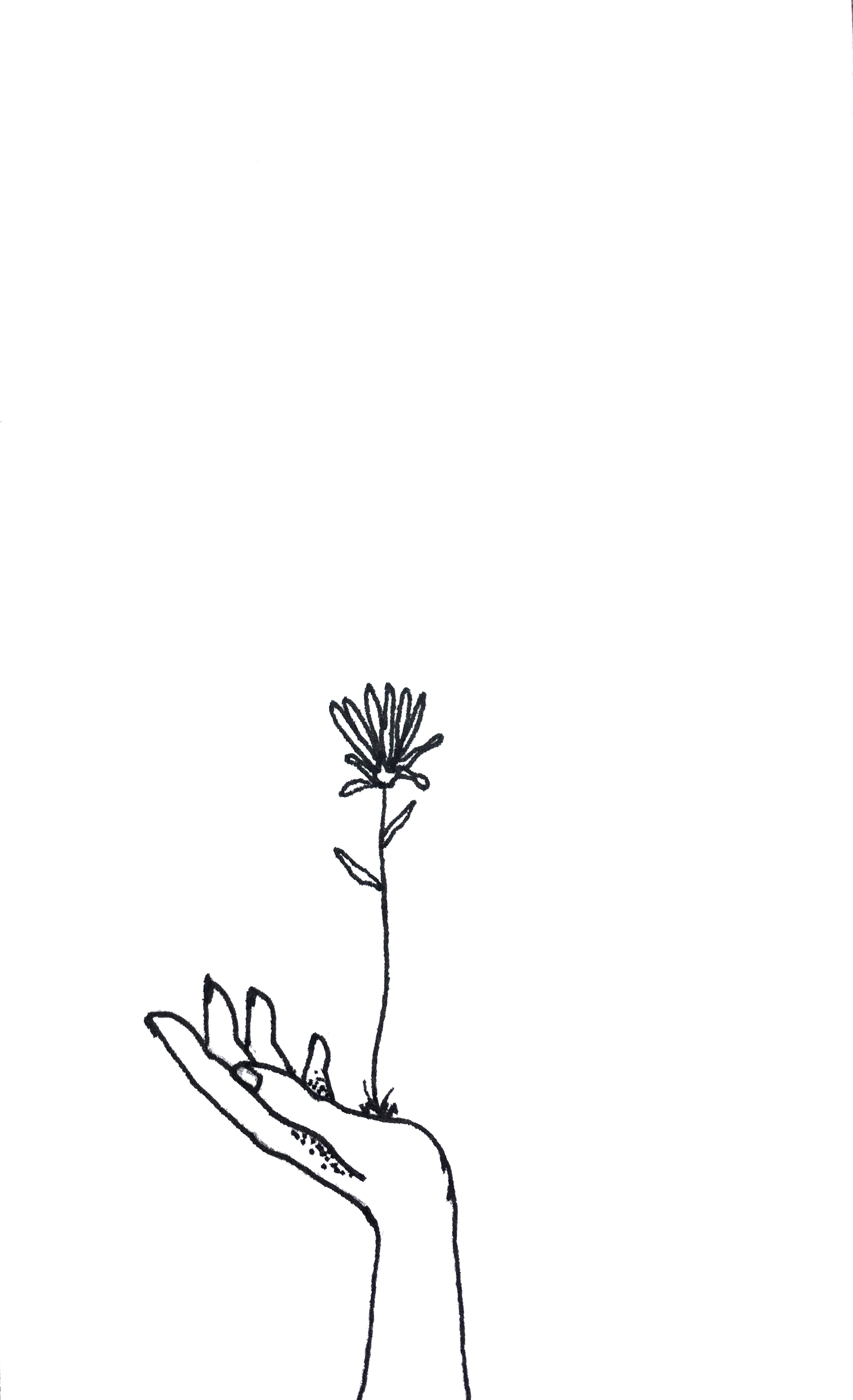 Time to Grow