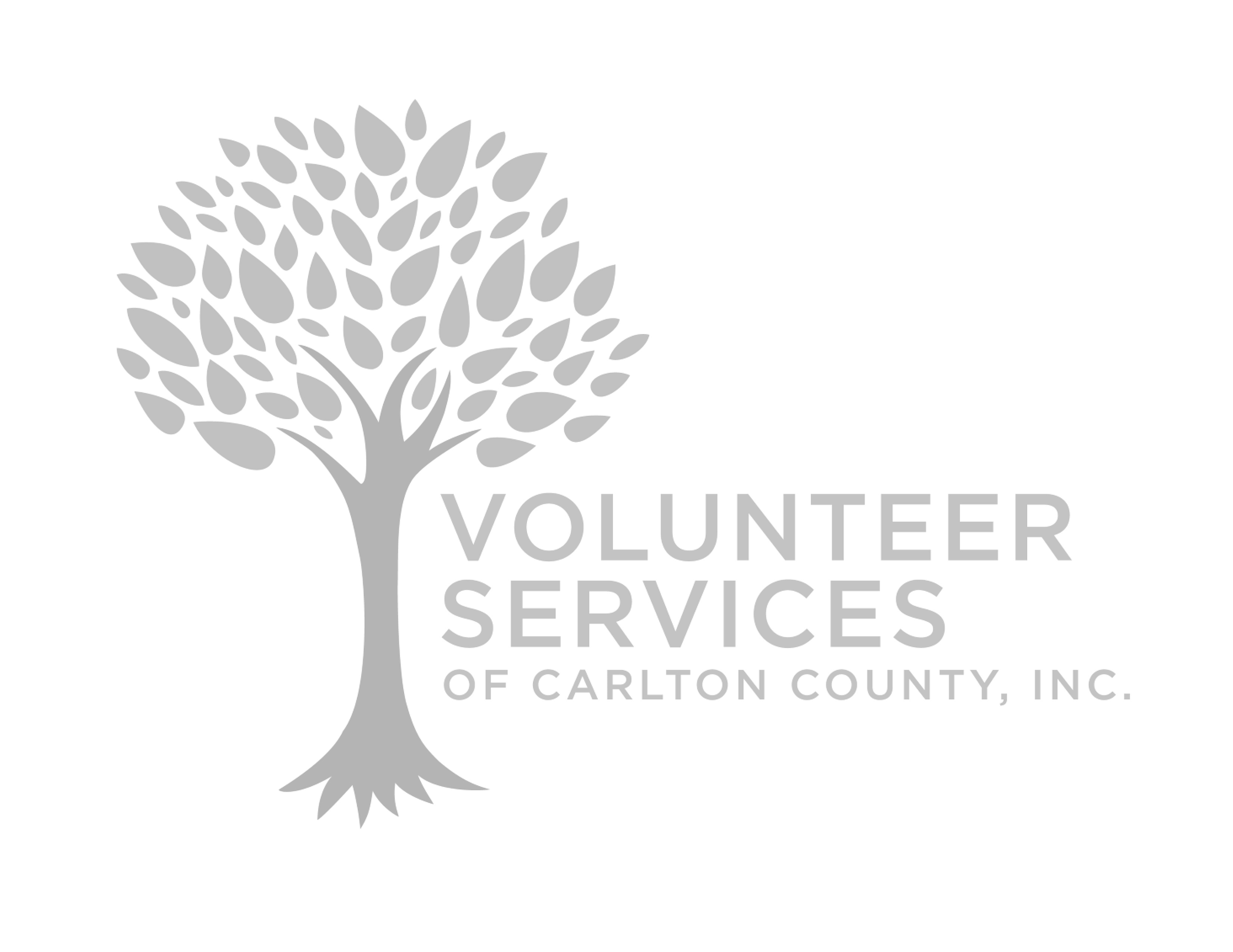 Volunteer Services of Carlton County logo