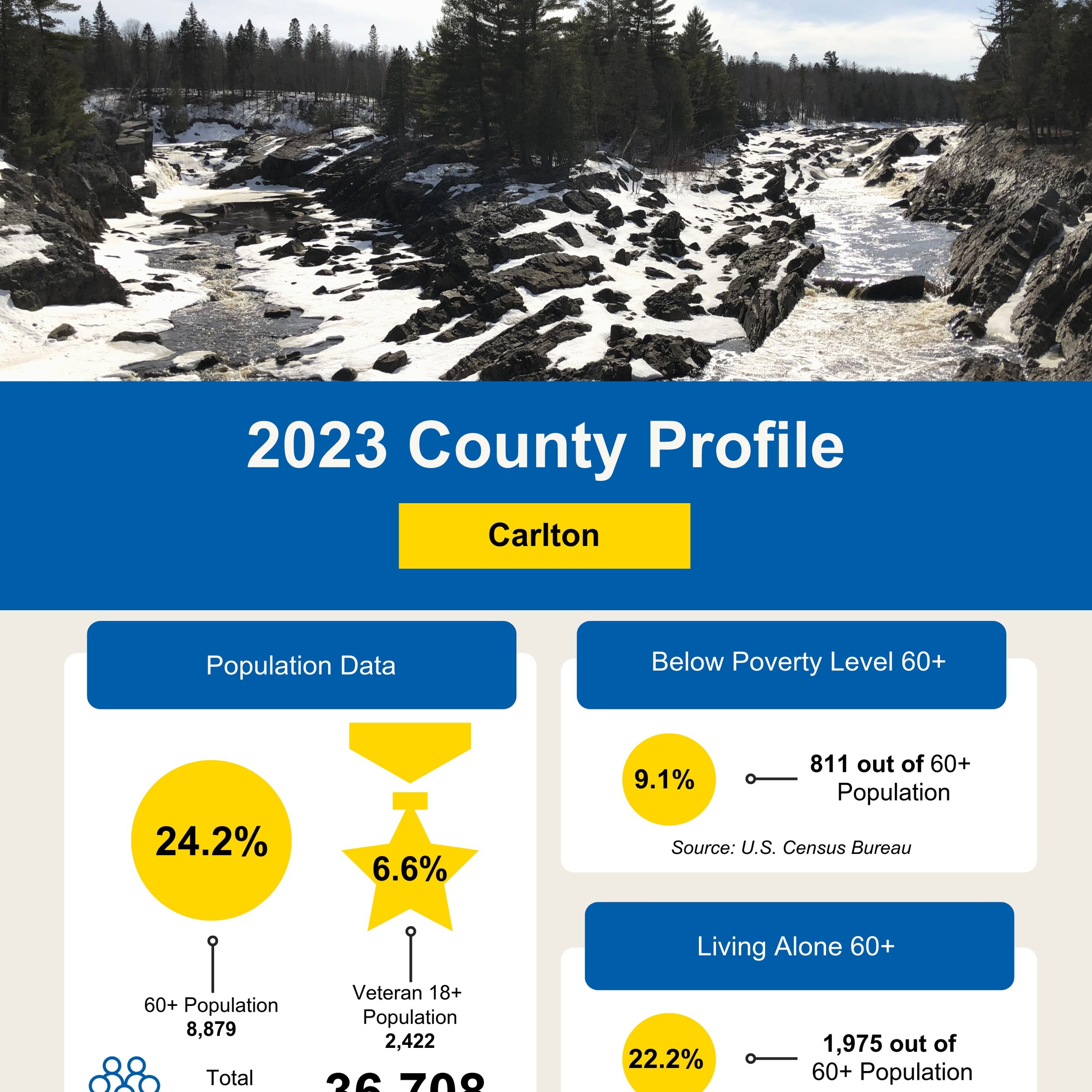 Carlton County Profile