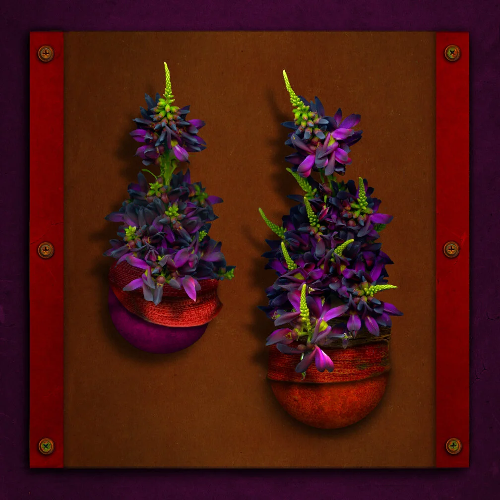 PURPLE23.jpg