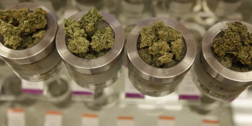 Different varieties of marijuana flowers are displayed at medical marijuana dispensary Kaya Shack in Portland, Oregon, June 26, 2015.