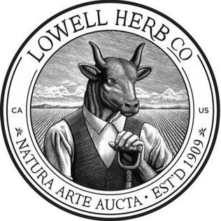 Lowell_1909_seal.jpg
