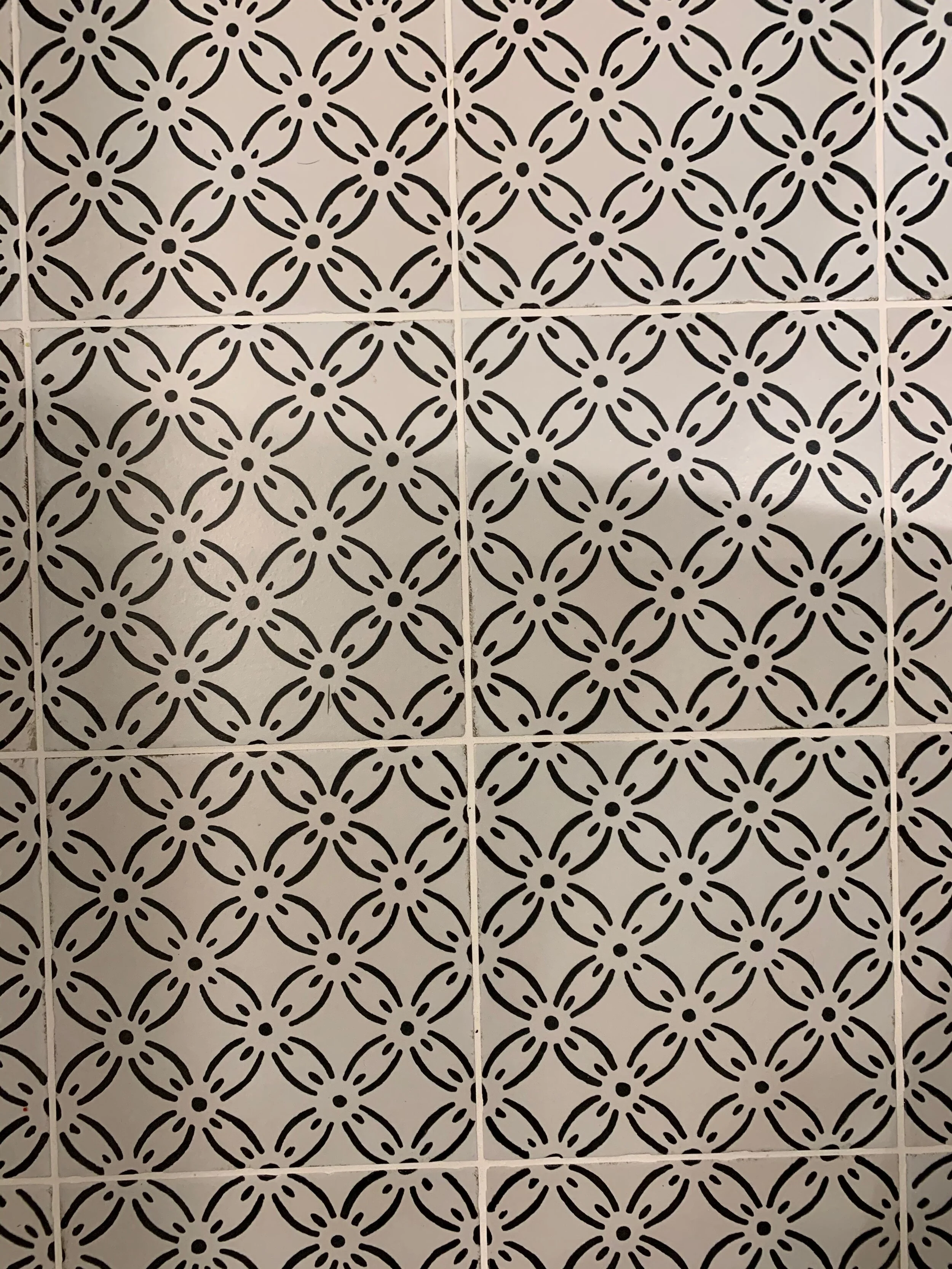 IMG_6627.jpeg