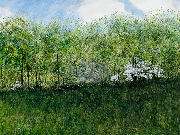 Nelson. Meadow.archival print.11x14.$120..jpg