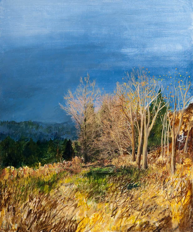 Nelson.Fall 3.archival print.11x14.$120..jpg