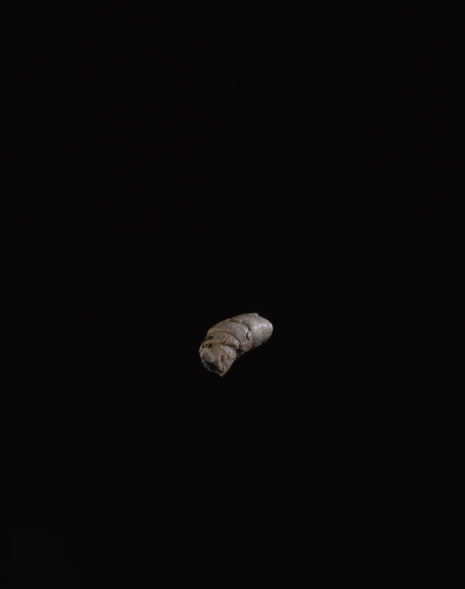 The Final Sleep