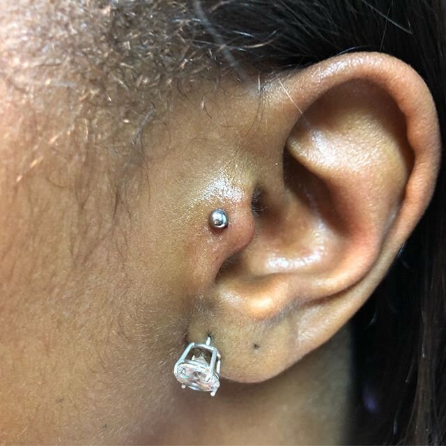 Just had the pleasure of doing this tragus piercing, and I couldn&rsquo;t be happier with the way it came out. Thank you again!!