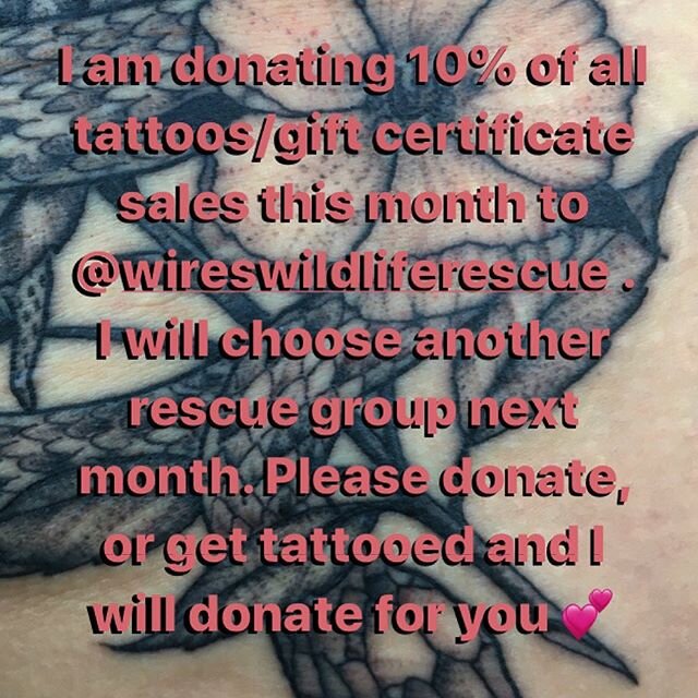 Please contribute! Get tattooed to donate, buy from businesses directly affected, donate to a New South Whales rescue, look up more ways to help. 💕 show who you&rsquo;d like to be to this world.
Email for appt or call/come by the shop TAGGED ARE MUL