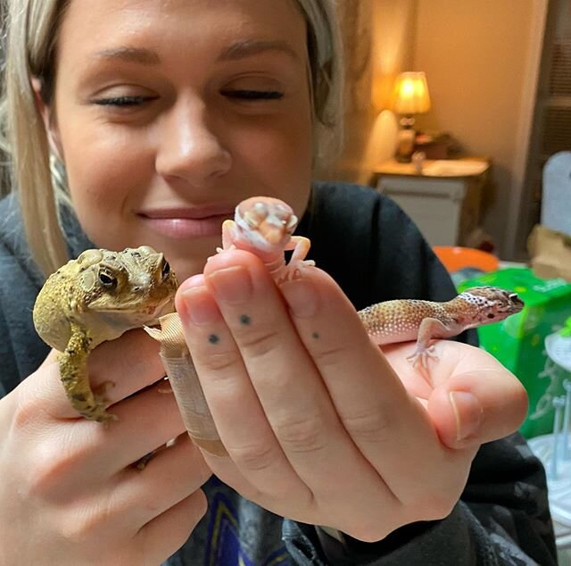 Lizard queen plus wtf is that Toad