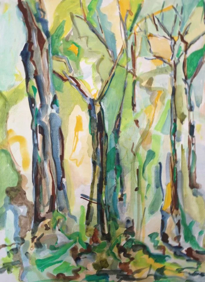 prospect park woods.jpg