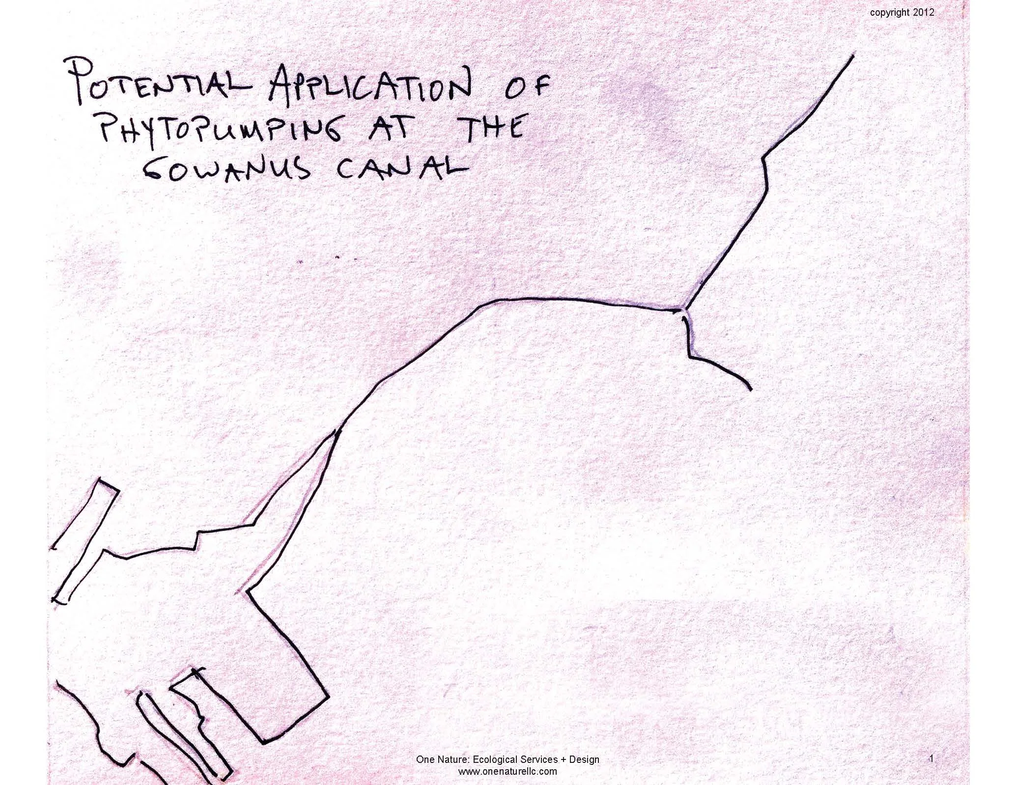 PhytoGowanusDRAFTOneNatureLLC_Page_01.jpg