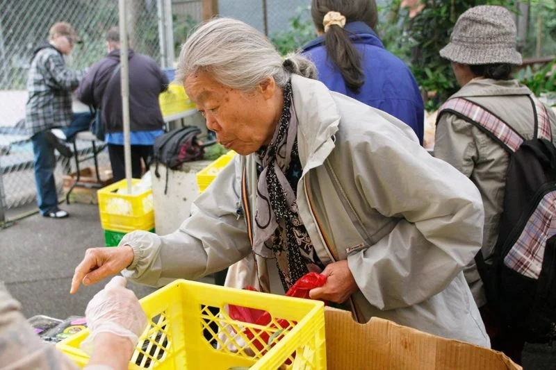 Lady-Grocery-PS1200-800x533.jpg