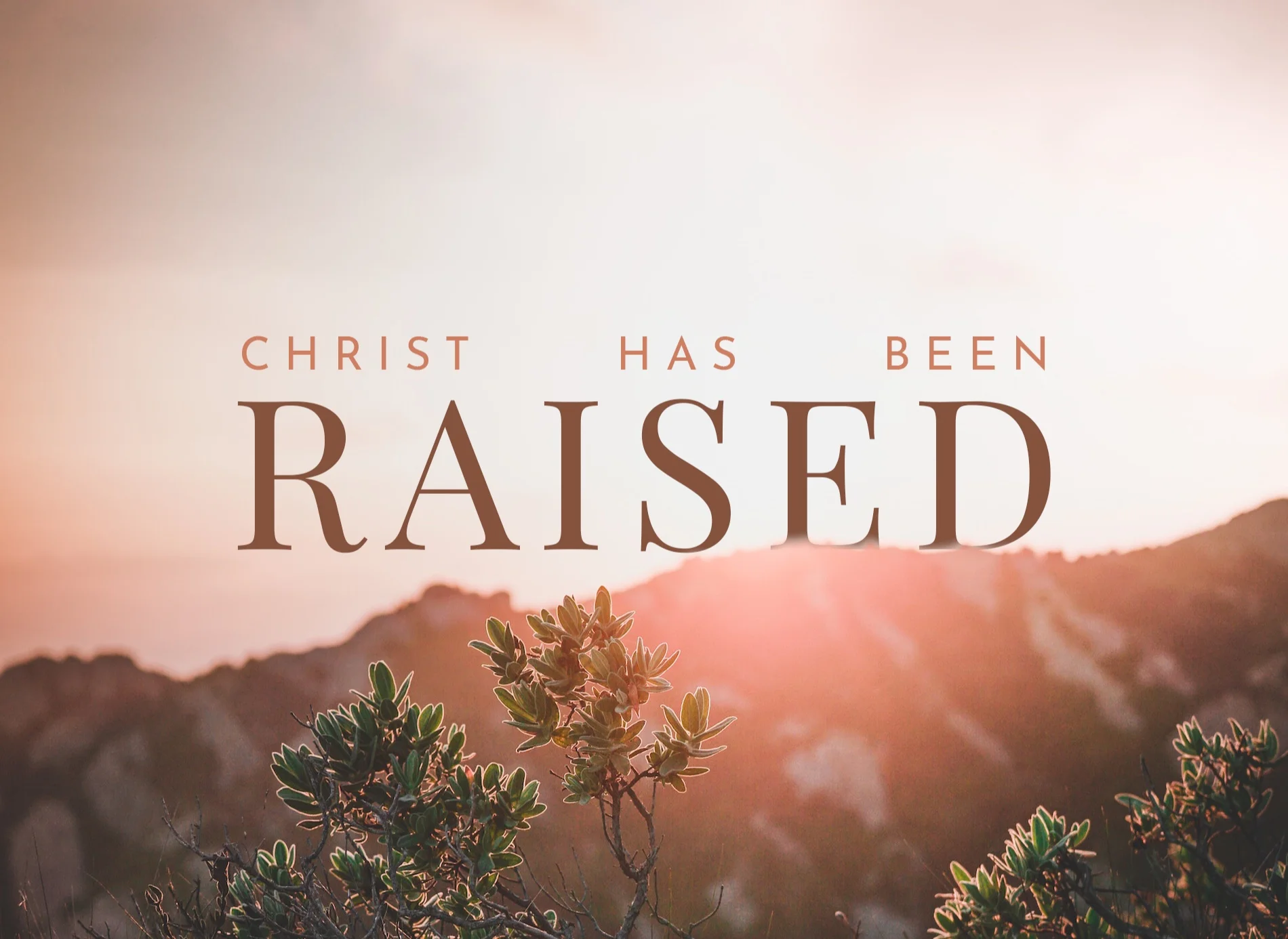 easter+header2.jpg