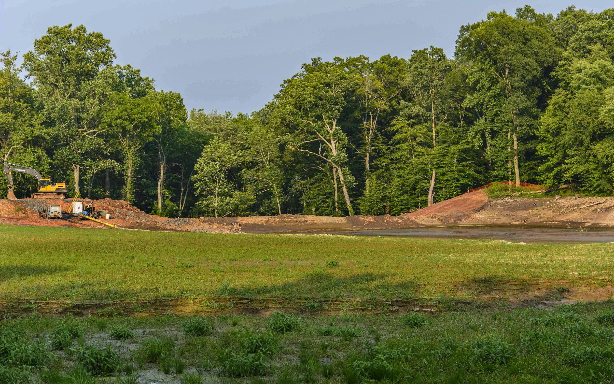 dws_2015.07.01_6721  (1).jpg