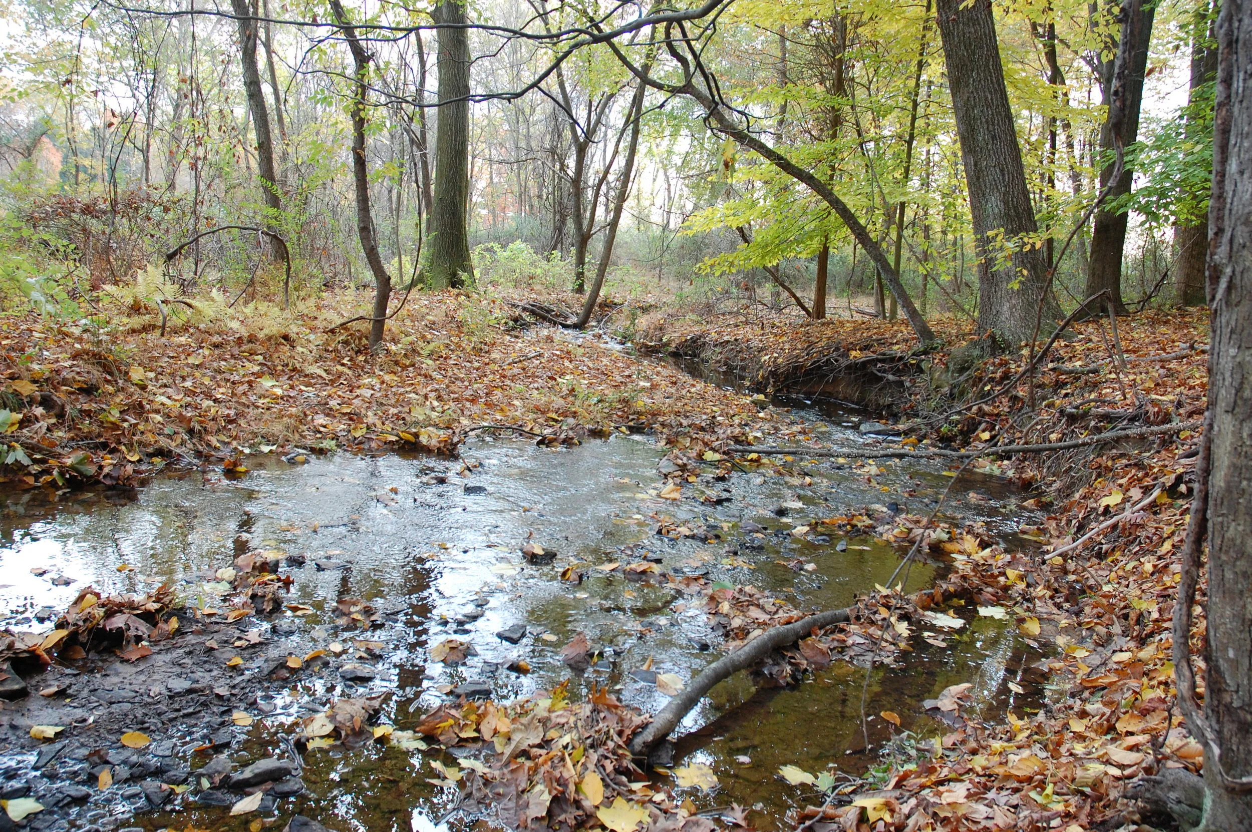 Aquetong watershed  (2).JPG