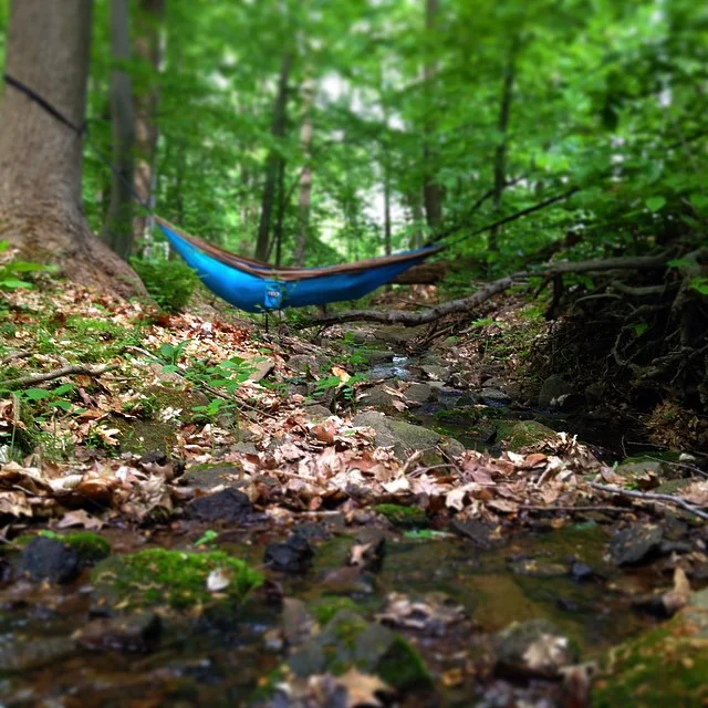 awa_creek_hammock.jpg