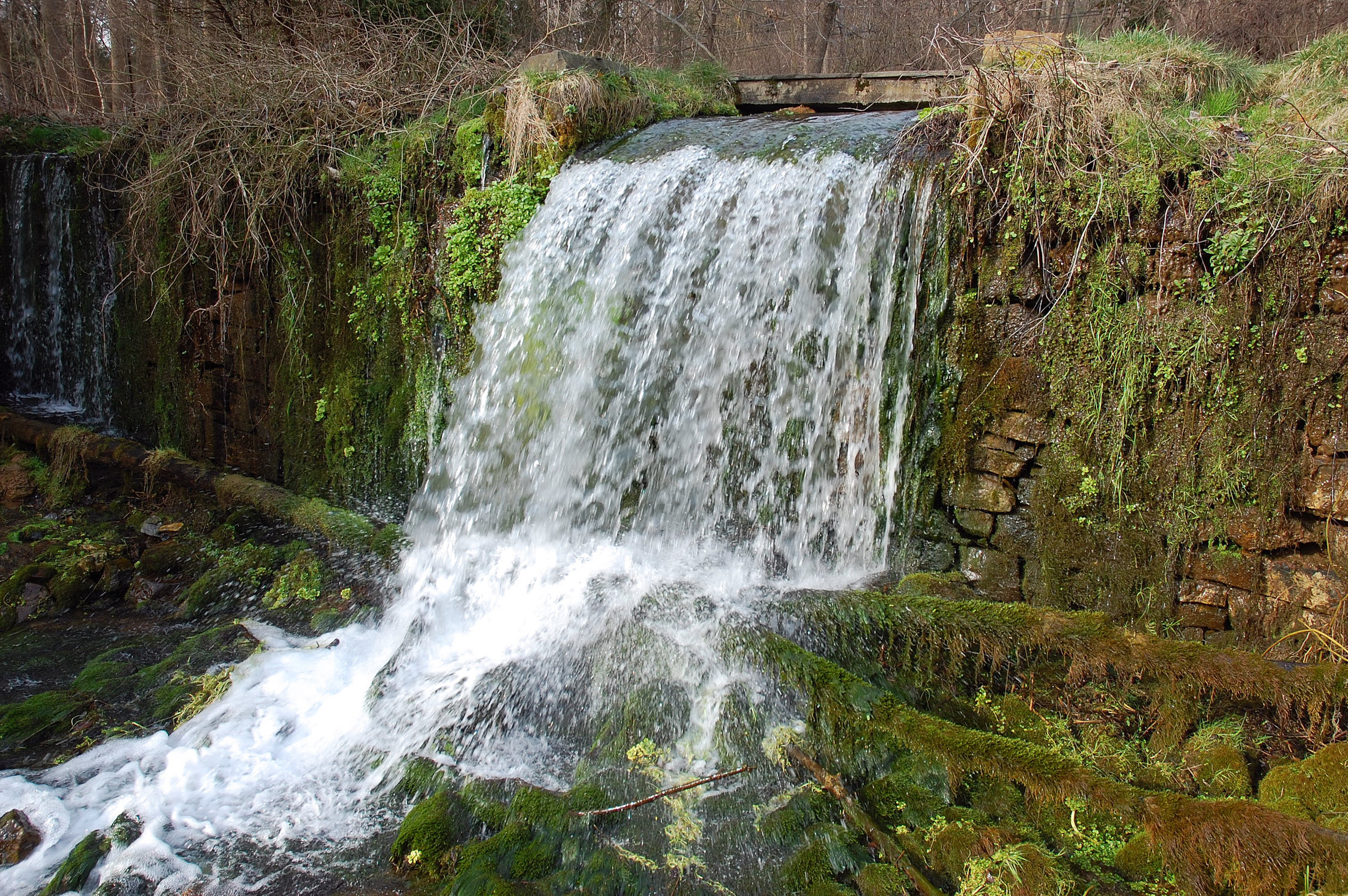 Aquetong watershed  (5).JPG