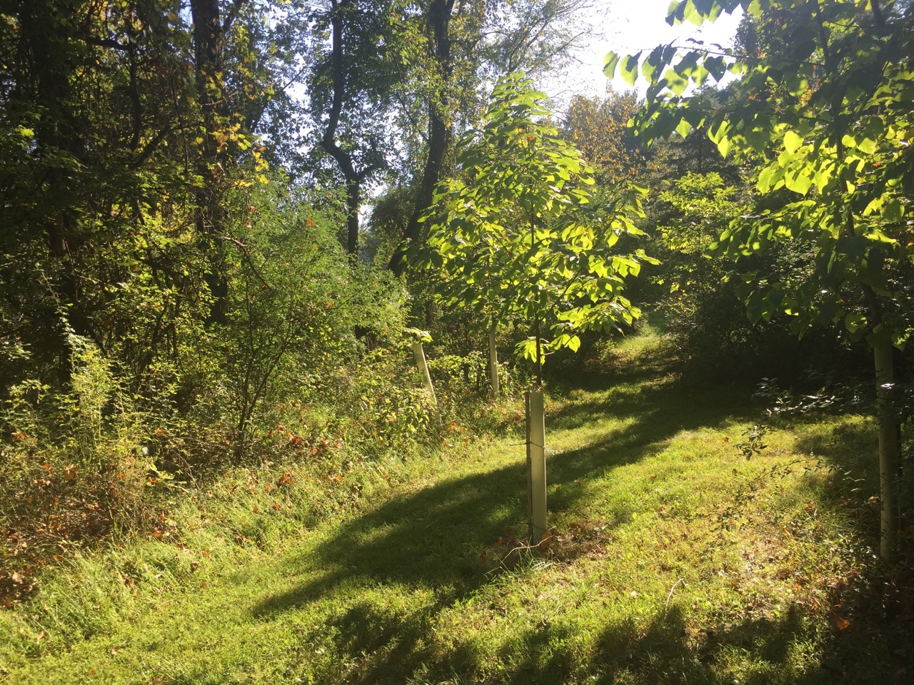 IMG_0573.jpeg