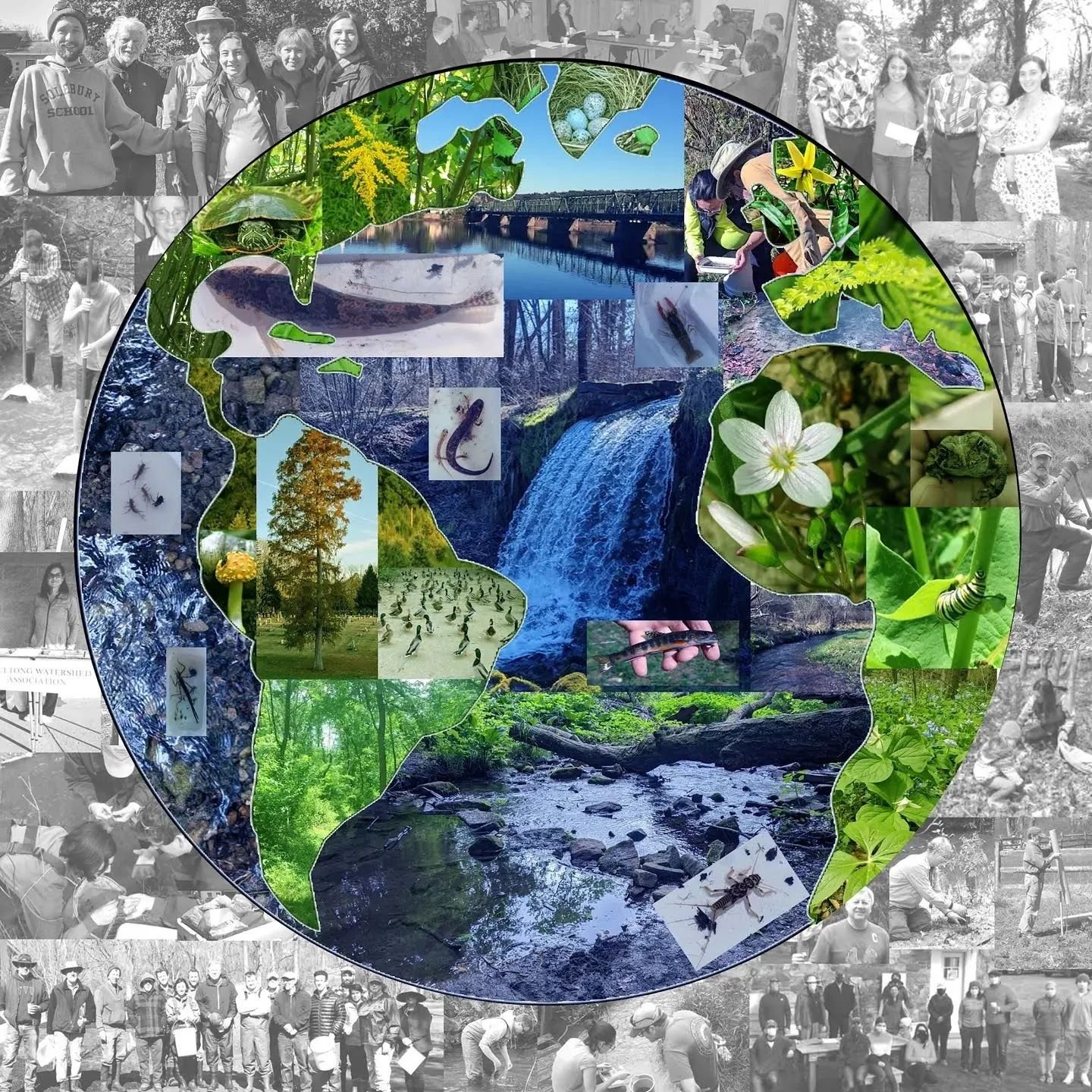 Happy Earth Day from the AWA! 🌍🌎🌏

Thank you for being here and supporting your local watershed. Think global, act local!

#earthday #watershed #solebury #newhopepa #volunteer #aquetong #buckscounty #visitbuckscounty #thinkglobalactlocal