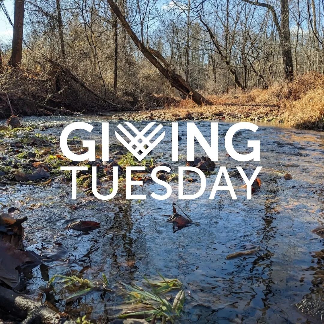 As the watchdog of the Aquetong Watershed, the AWA works tirelessly to keep our environment protected. We organize stewardship and education events, plant native plants, award scholarships to future leaders, monitor the creek, and represent the water