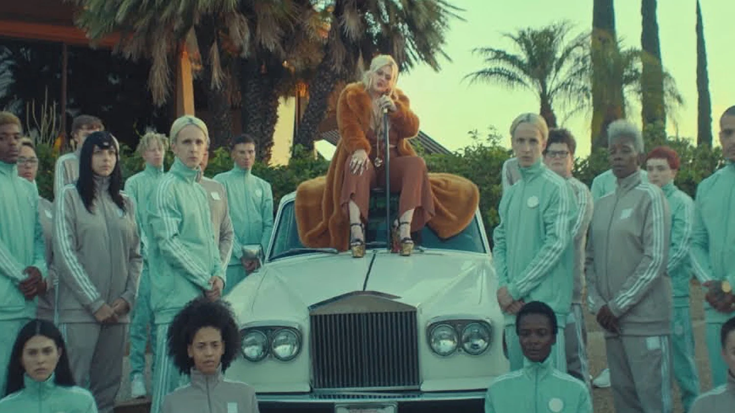 ELLE KING | SHAME