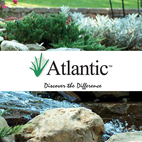 Professional Atlantic water gardens water feature design and fountain in Harrisburg Dauphin County PA