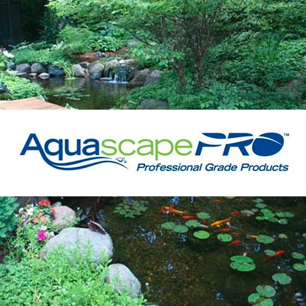 Professional AquascapePro water feature design and fountain in Harrisburg Dauphin County PA