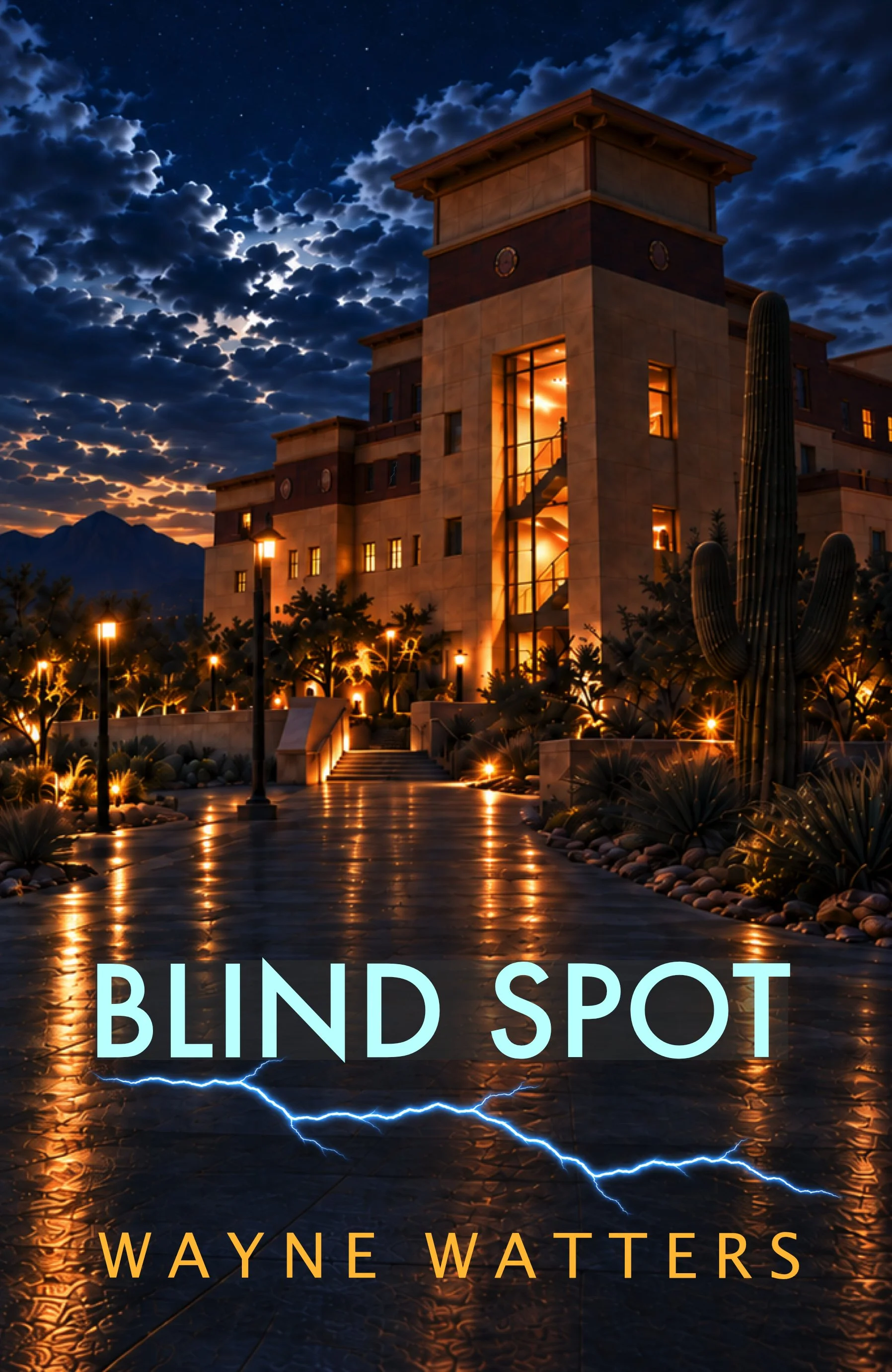 Blind Spot book cover image
