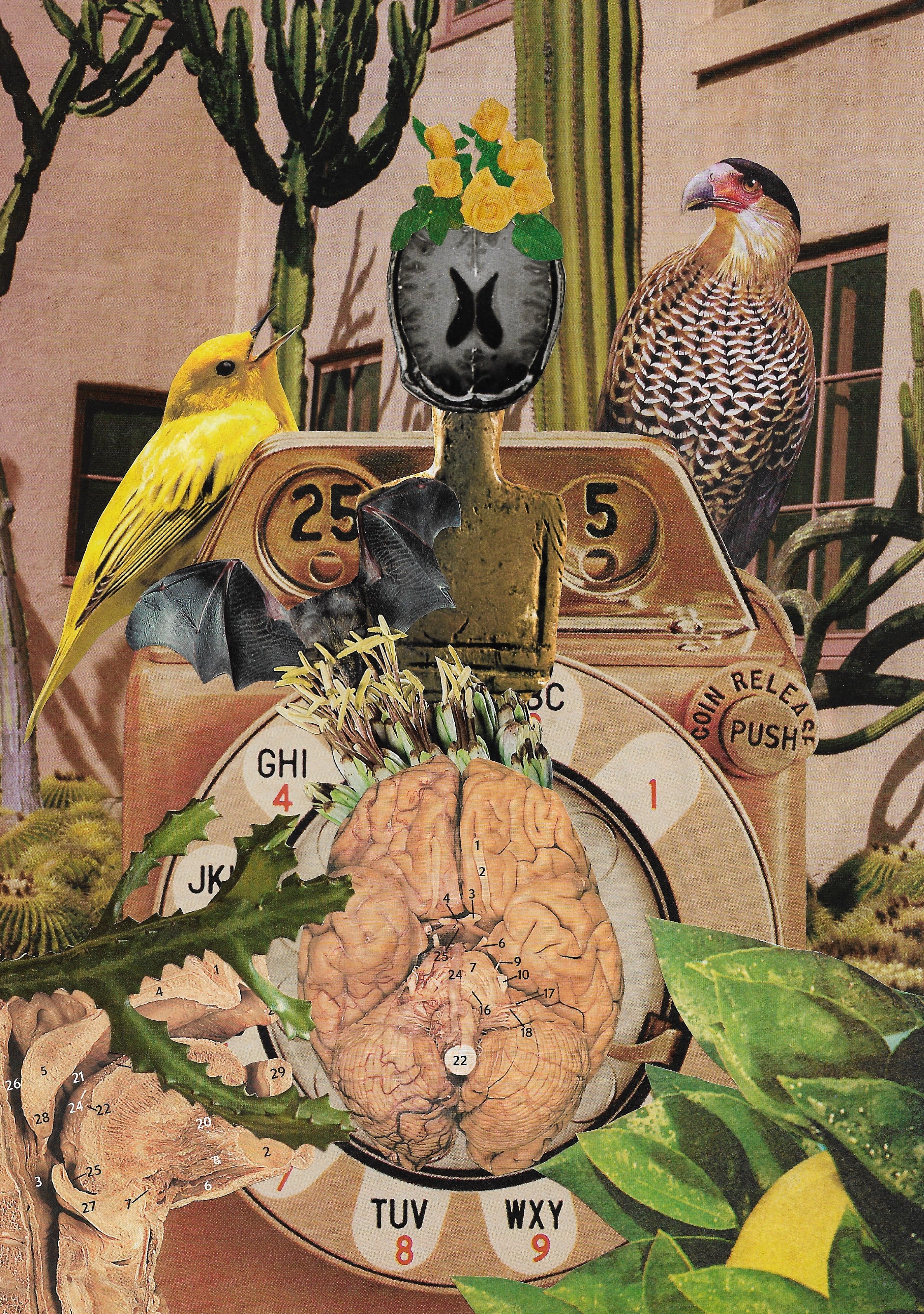 Collect Calls Coming from Inside the House