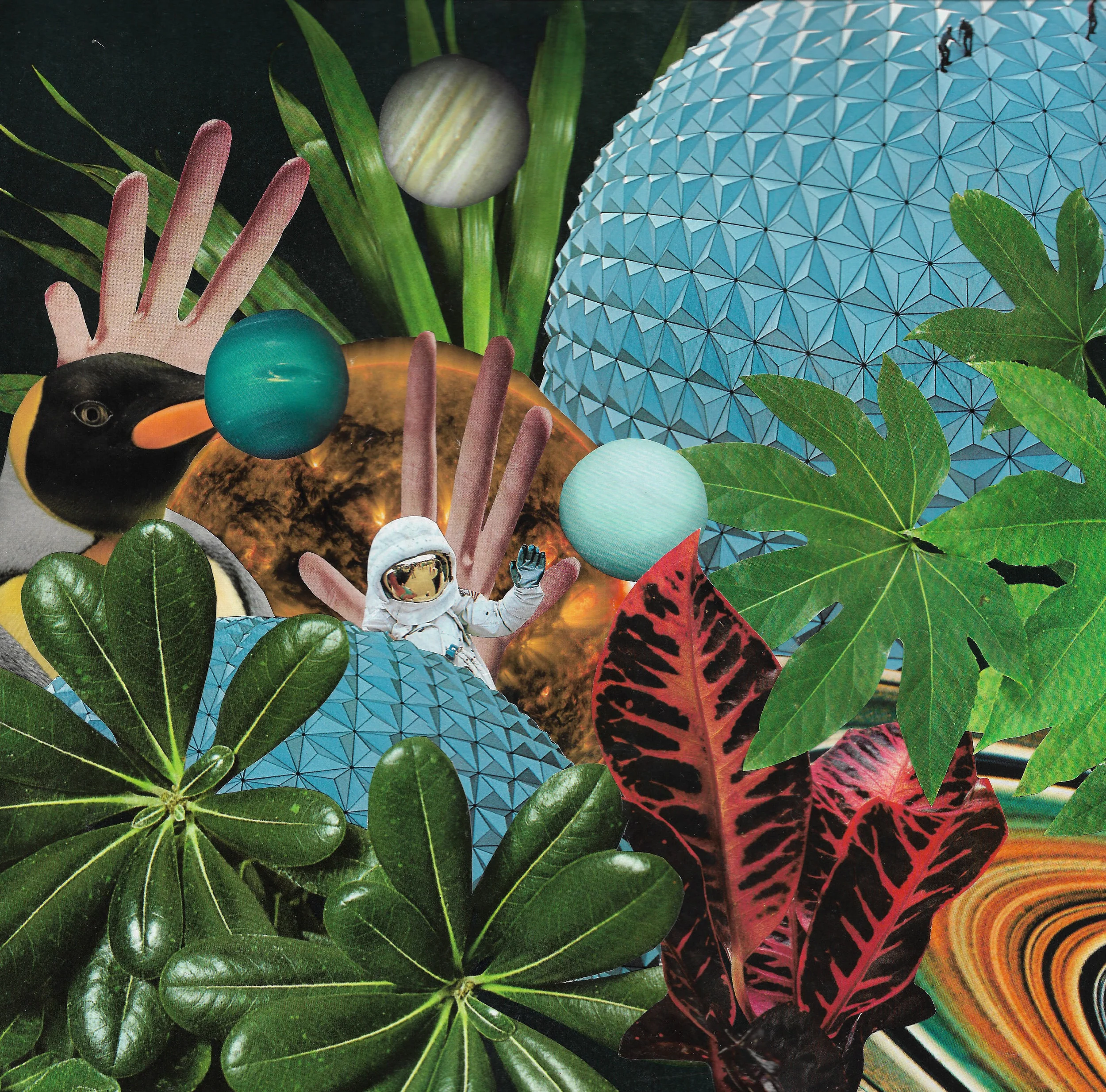 Welcome to the Jungle