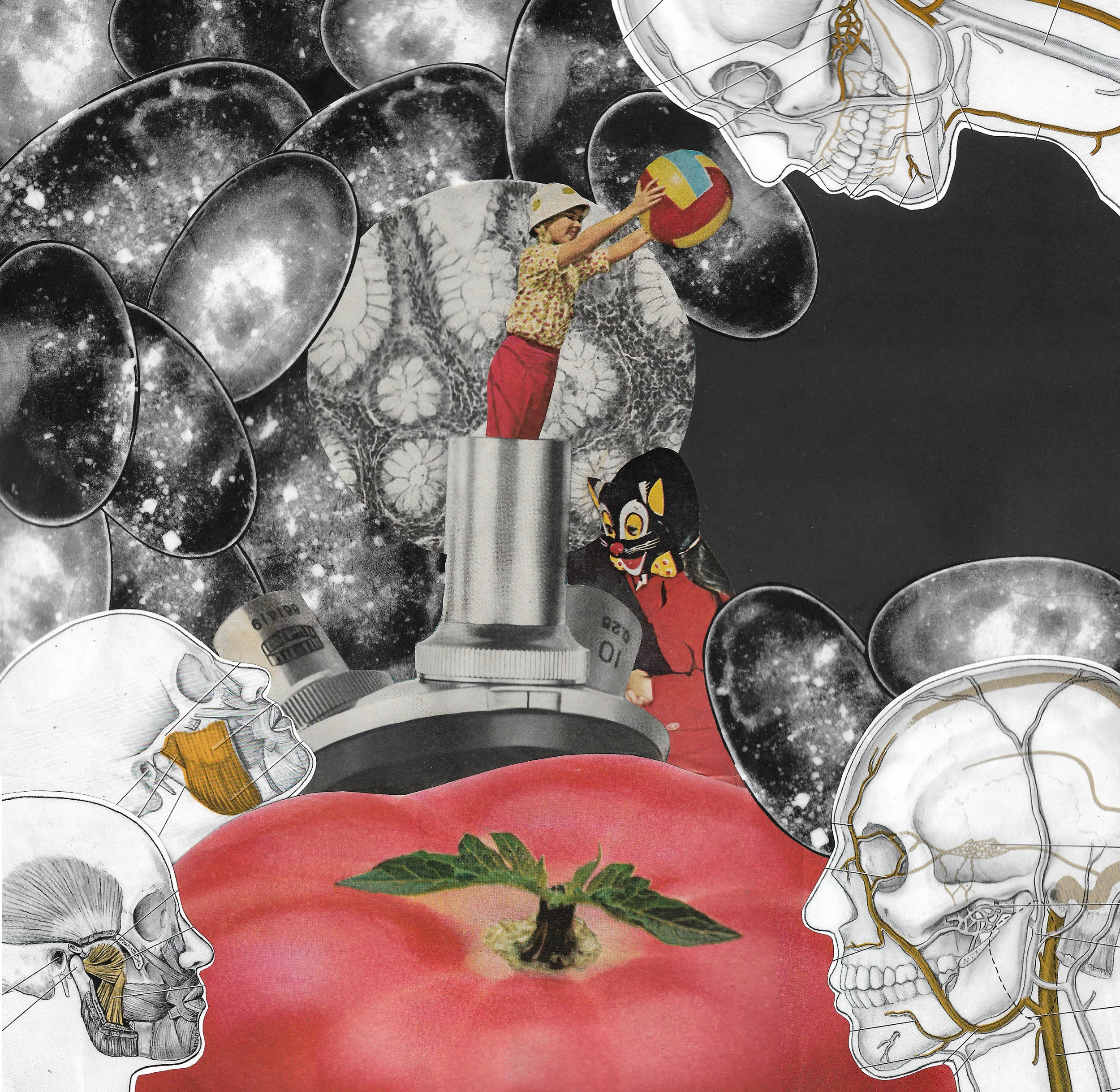 Album Artwork for Poor