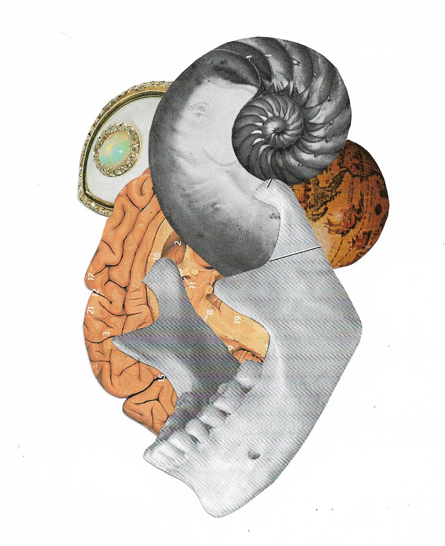 Thumbnail Image.jpg
