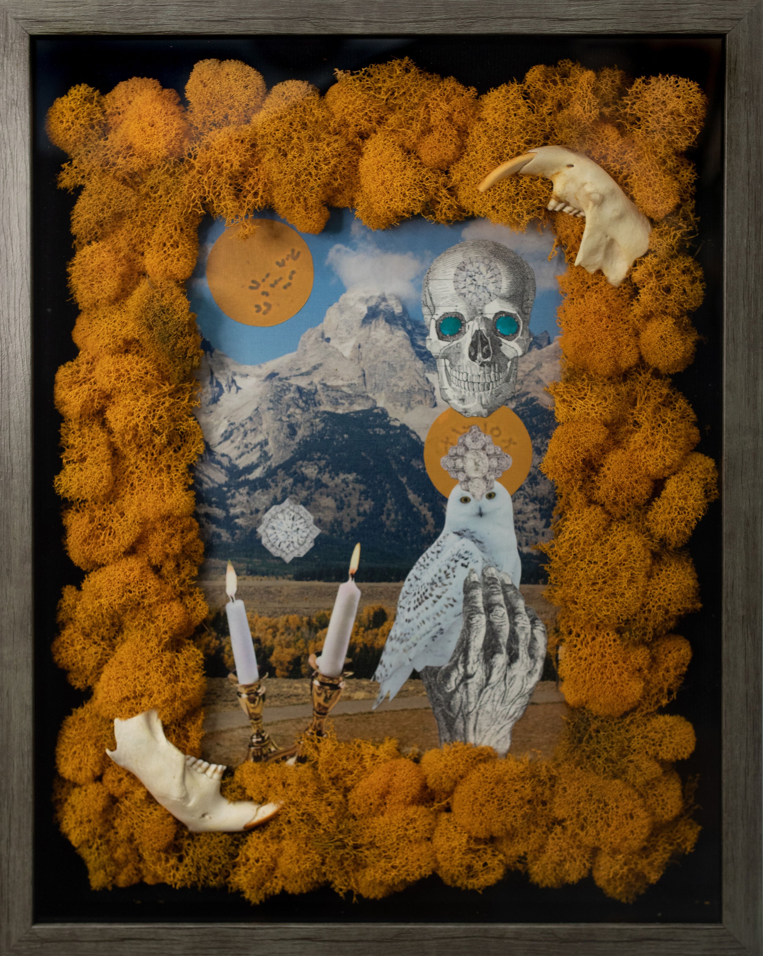 They Had Blood Diamonds for Breakfast / 2021 / Melody Jean Moulton / Collage on found photo, preserved moss, beaver jaw bones / 15 x 19 inches (framed) / Sold