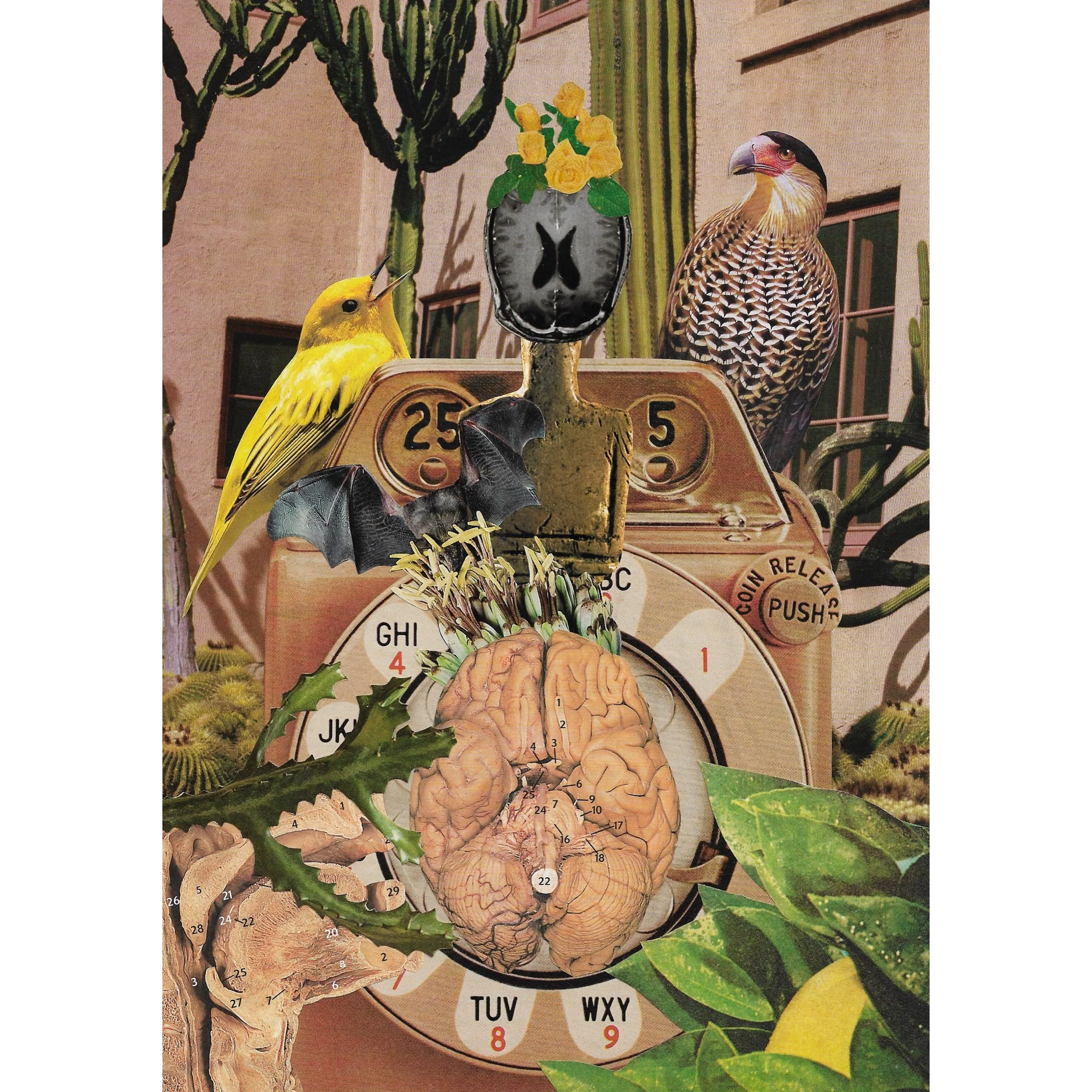 SQUARE collect calls.JPG