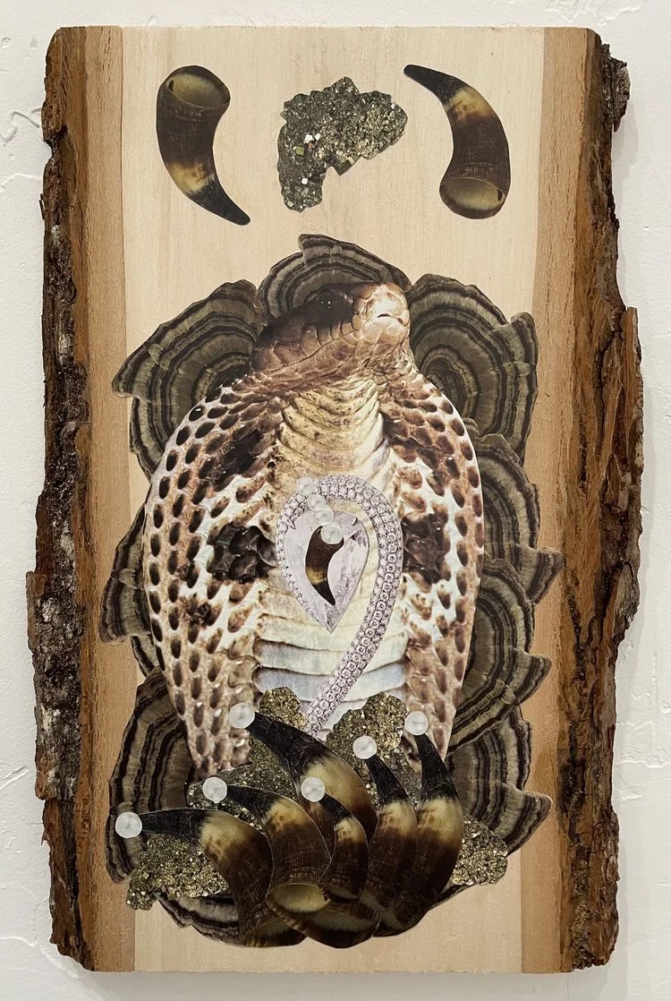 Cent 2 insightful fools.JPG