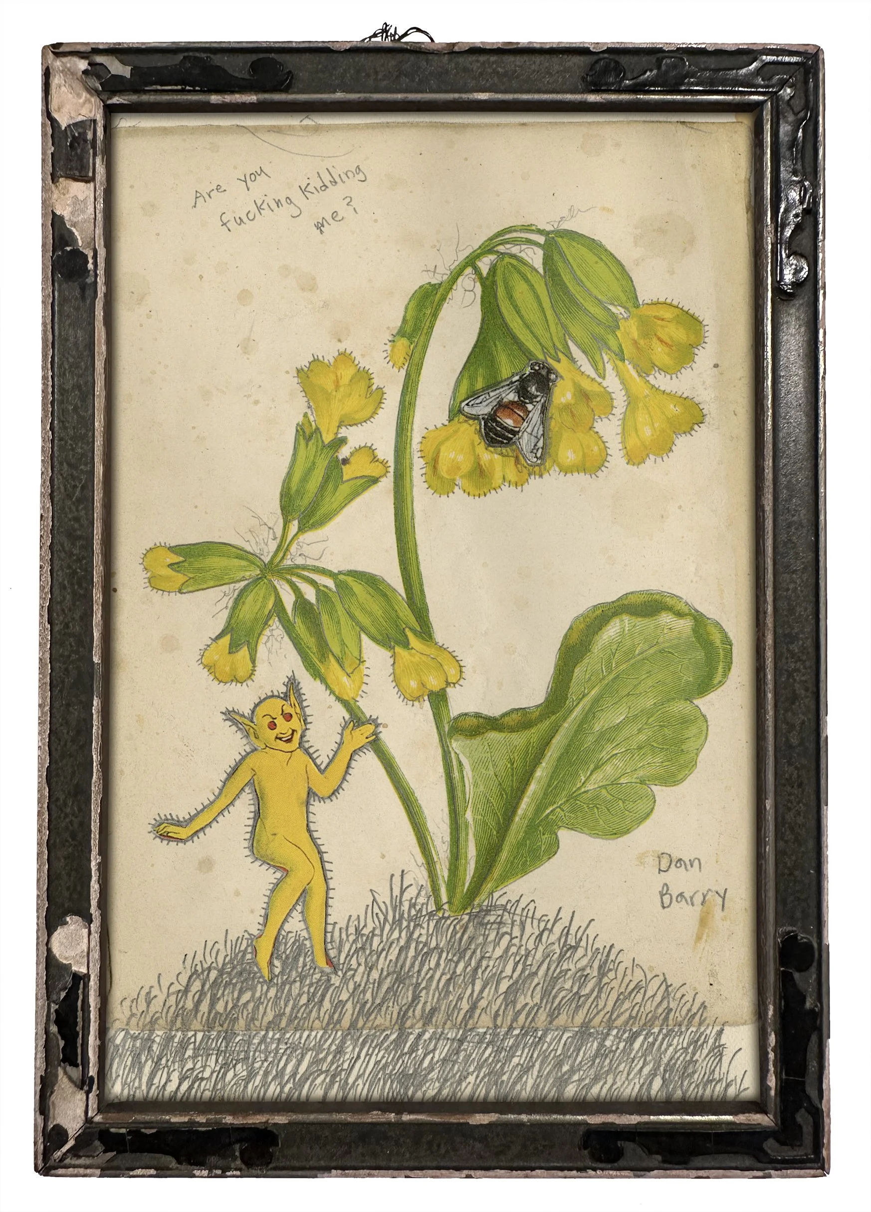 Dan Barry_Cowslip.JPG