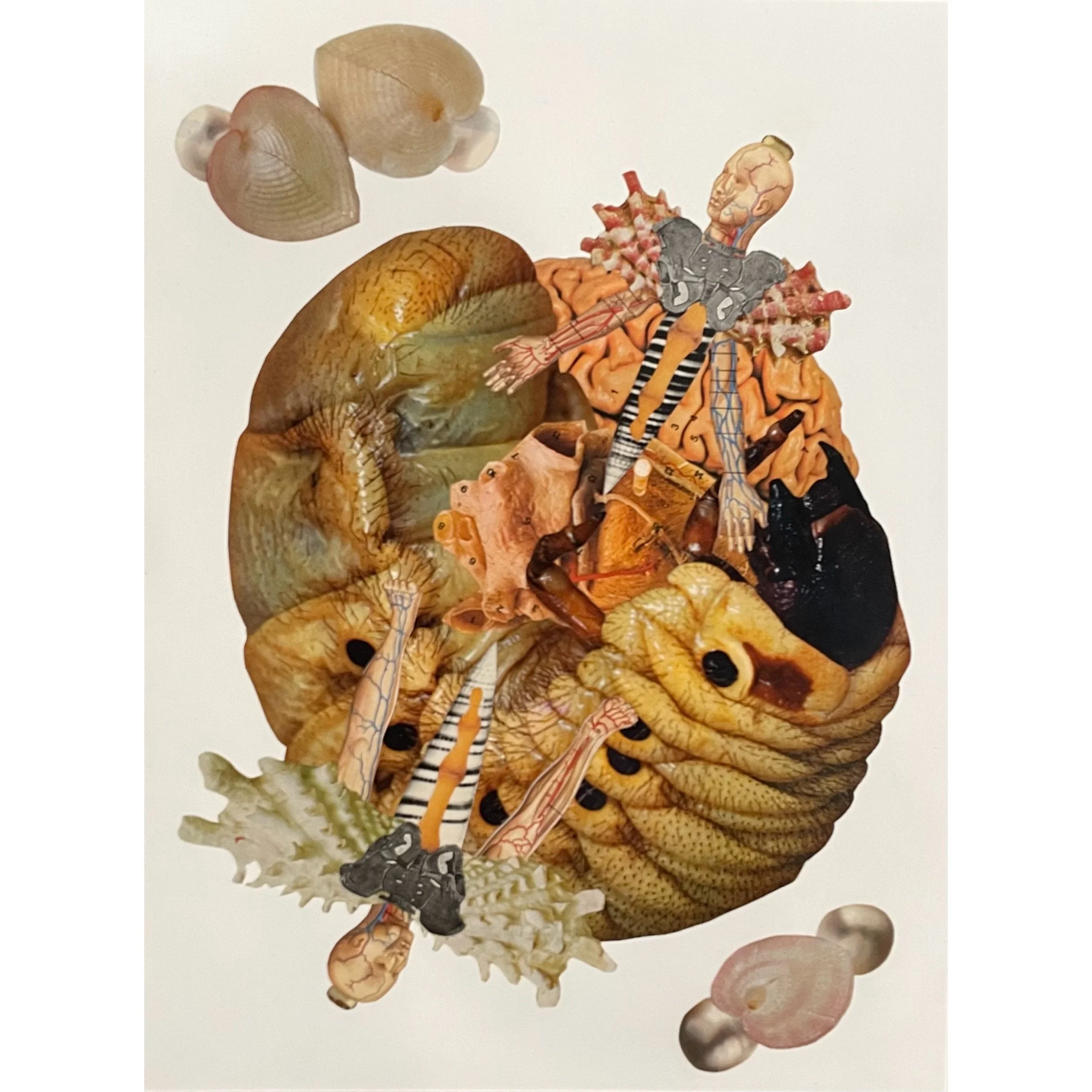 Sanity Wins square.JPG