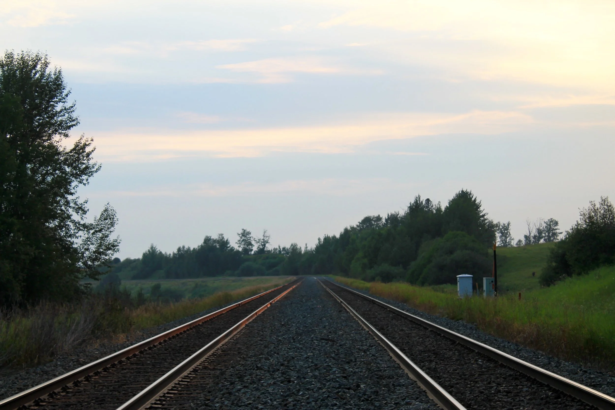 Write Mind Mentorship 