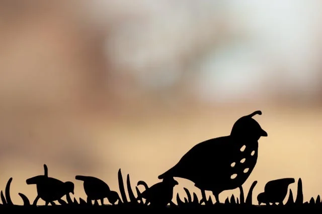 Write Mind Mentorship - 3 Instalments