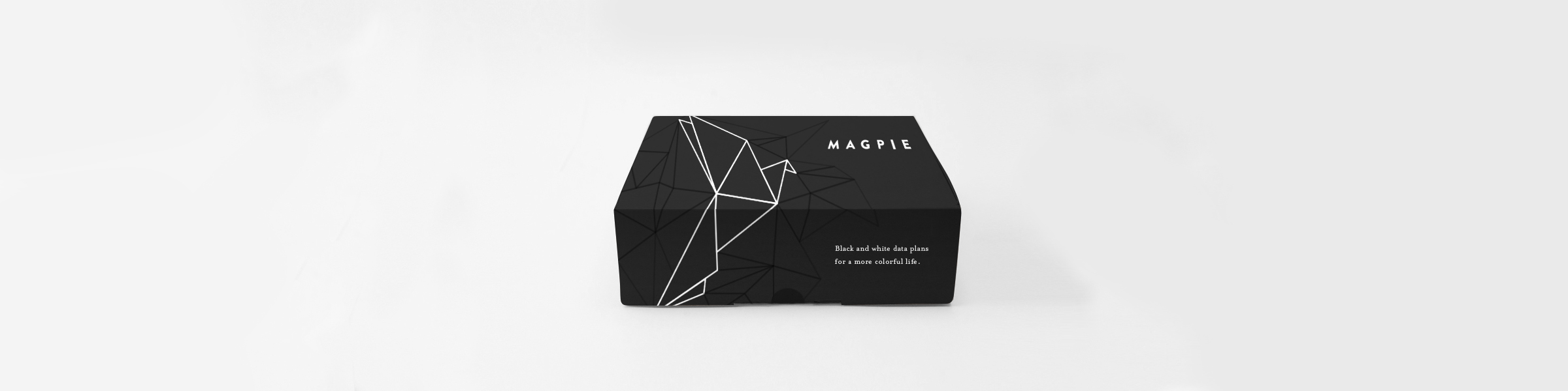front_magpie_box_revised 2.jpg