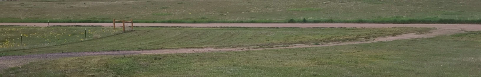 mow crop.jpg