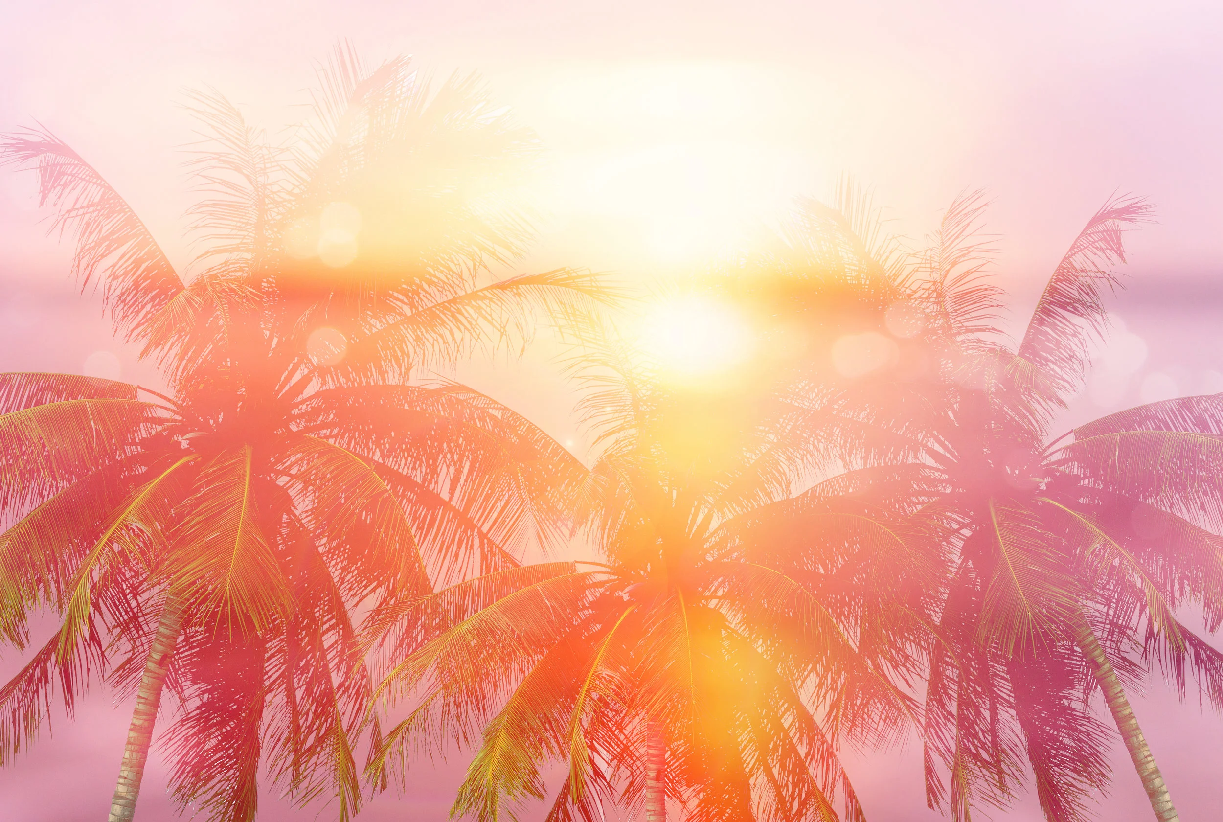 Pastel Palms.jpg