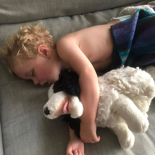 Clinging to the weekend like Walt&rsquo;s clinging to his Jeff dog. Did not plan on taking today off even though it&rsquo;s a holiday. Most schools in Florida are in session and do not celebrate Columbus Day like they did when I was a kid. October is